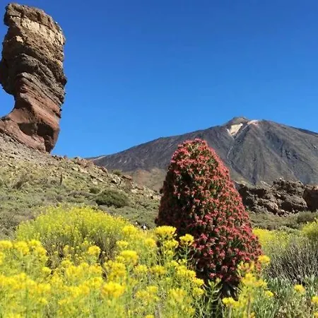Anayet, Zona Del Duque Con Piscina Comunitaria * Costa Adeje (Tenerife)