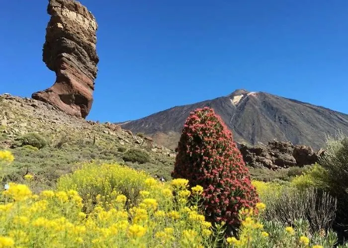 Anayet, Zona Del Duque Con Piscina Comunitaria * Costa Adeje (Tenerife)
